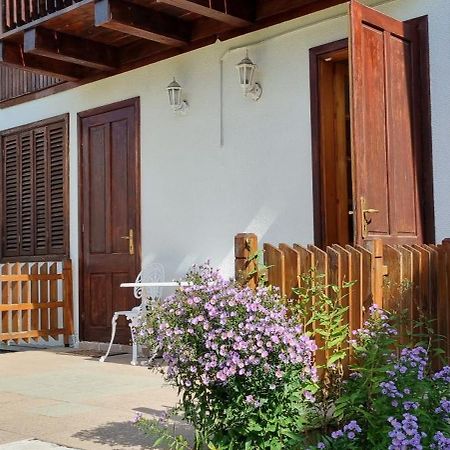 Vila Panselutelor 6 Σινάια Εξωτερικό φωτογραφία