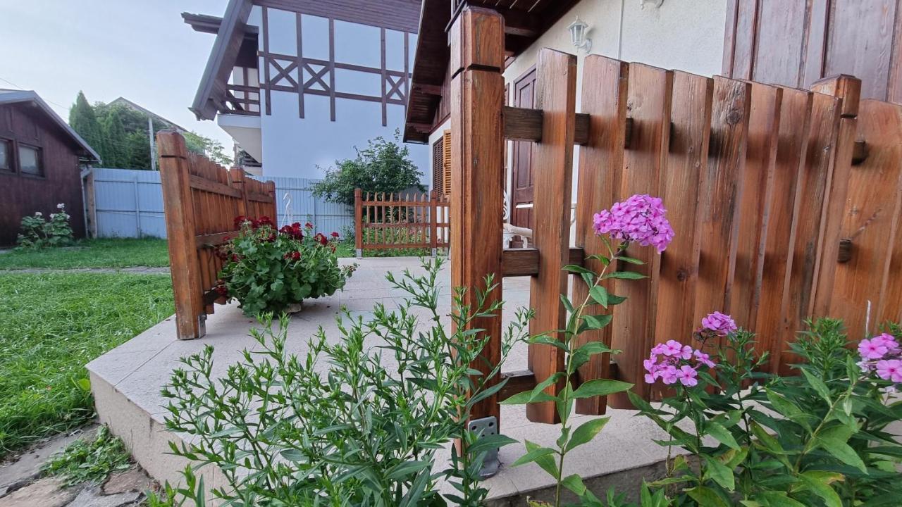 Vila Panselutelor 6 Σινάια Εξωτερικό φωτογραφία